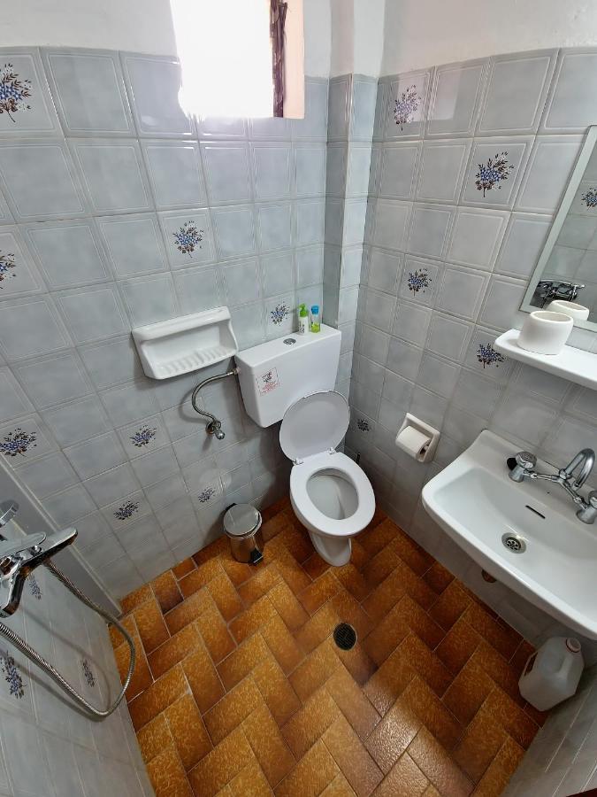 Alexandra 12 Apartment
